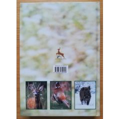 Szabó Zoltán: Vadásziskola 