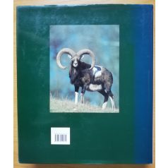 Kurt G. Blüchel: A vadászat