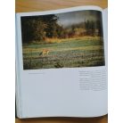 Kurt G. Blüchel: A vadászat