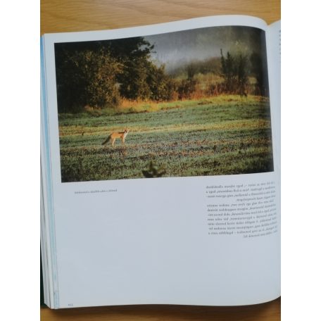 Kurt G. Blüchel: A vadászat