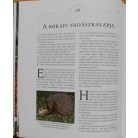 Gert G. von Harling: A vadcsapások varázsa - Cserkészés egész évben