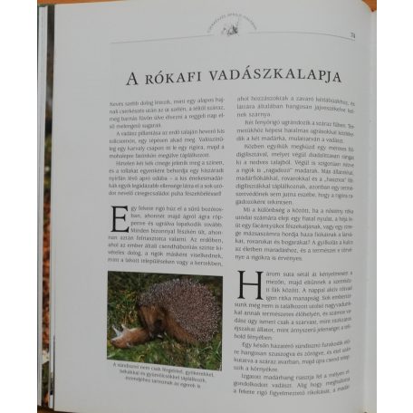Gert G. von Harling: A vadcsapások varázsa - Cserkészés egész évben