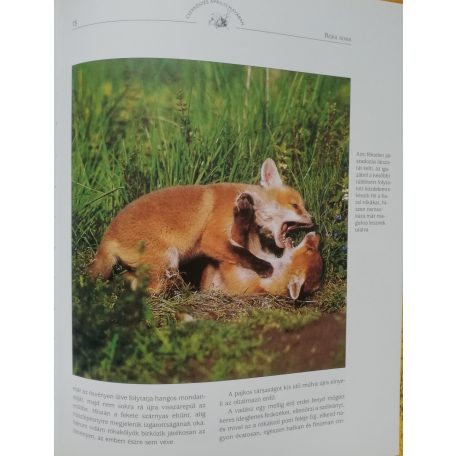 Gert G. von Harling: A vadcsapások varázsa - Cserkészés egész évben