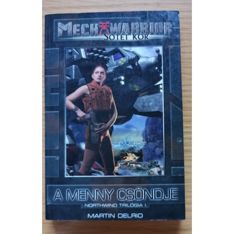 Martin Delrio: A menny csöndje