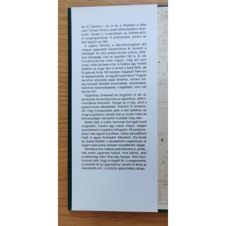 Tolvaly Ferenc: Boszporusz felett a híd