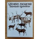 Széchenyi Zsigmond: Szarvasok nyomában