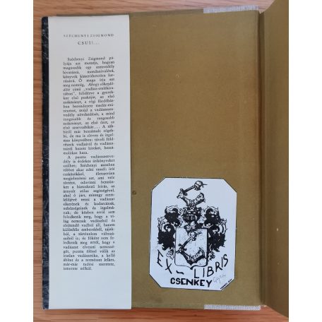 Széchenyi Zsigmond: Csui!... 