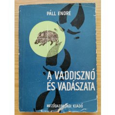 Páll Endre: A vaddisznó és vadászata