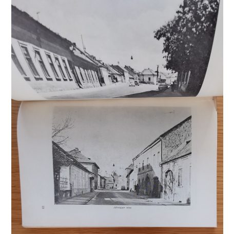Bakos József: Eger és Felnémet földrajzi nevei I-II.
