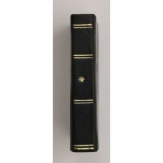 Illyés Gyula: Ifjúság (minikönyv)