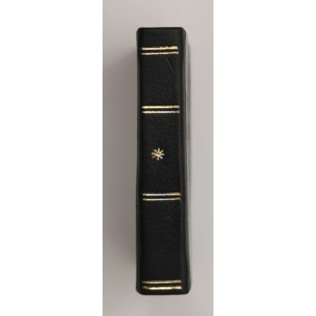 Illyés Gyula: Ifjúság (minikönyv)