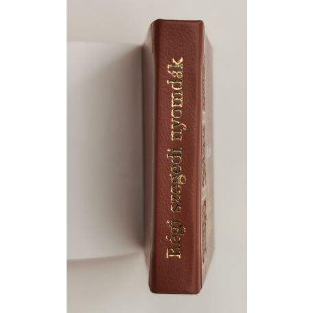 Bátyai Jenő: Régi szegedi nyomdák (minikönyv)