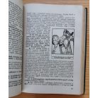 Bányabalesetek elhárítása (A bányász biztonságának kiskátéja)