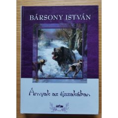 Bársony István: Árnyak az éjszakában 