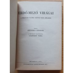 Jávorka Sándor: Erdő mező virágai 