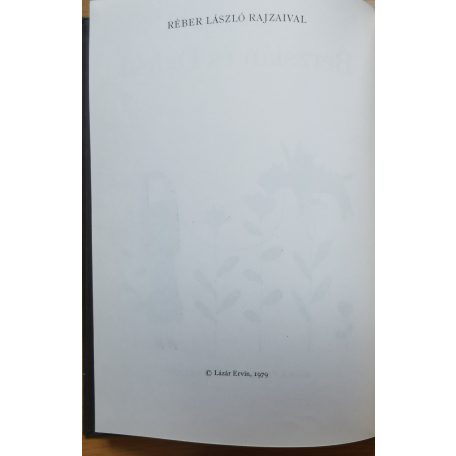 Lázár Ervin: Berzsián és Dideki (Első kiadás!)