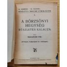 Magaziner Pál: A Börzsönyi hegység részletes kalauza 