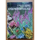 Babulka Péter, Dr: Képes gyógynövénykalauz 
