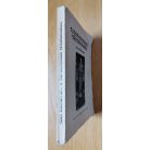 Tóth Kálmán, Dr: A Máriaünnepek fényözönében 