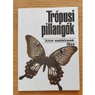 2 db Búvár zsebkönyv -  (Trópusi pillangók+ Trópusi csigák, kagylók)