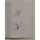 Barcsay Jenő: Művészeti anatómia 