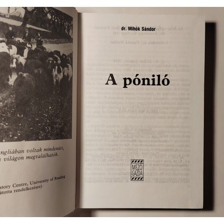 Mihók Sándor, Dr.: A póniló