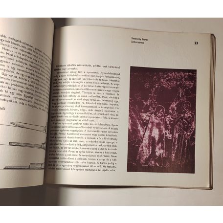 Szabados Árpád: Metszés és nyomtatás - Grafika I. (Műhelytitkok)