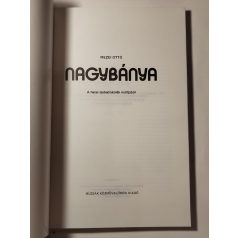   Mezei Ottó: Nagybánya - A hazai szabadiskolák múltjából
