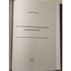   Szabó István: Ami Szolnokot országosan is ismertté tette 