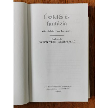 Palágyi Menyhért: Észlelés és fantázia