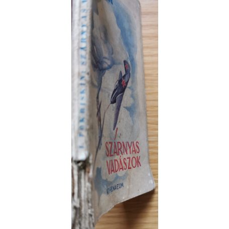 A. I. Pokriskin: Szárnyas vadászok