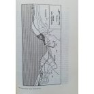 Ailianosz: A hadművészet ókori klasszikusai