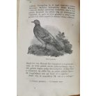 Papp Dezső, Dr.: Délutáni csevegések. Tanulmányok a természetből