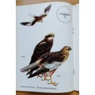 Sterbetz István, dr. és Beregszázi György (szerk.): Vadászható madaraink 6.