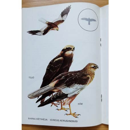 Sterbetz István, dr. és Beregszázi György (szerk.): Vadászható madaraink 6.