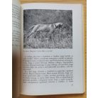 Mikósdy András:  Vadász ABC Második, változatlan kiadás