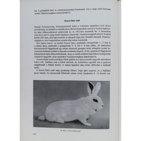 Csikváry László, Dr.: A nyúltenyésztés kézikönyve 