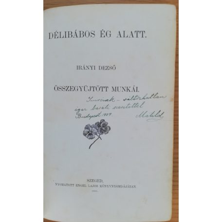 Irányi Dezső: Délibábos ég alatt