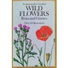 Bohumil Slavik: A colour guide to familiar wild flowers