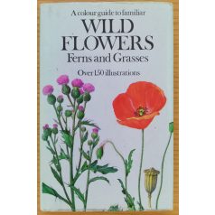 Bohumil Slavik: A colour guide to familiar wild flowers