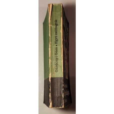 Gárdonyi Géza: Egri csillagok