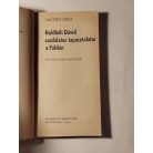 Laczkó Géza: Holdbéli Dávid csodálatos tapasztalatai a Földön