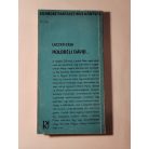 Laczkó Géza: Holdbéli Dávid csodálatos tapasztalatai a Földön
