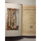 Max Eyth: Im Strom unserer Zeit: aus Briefen eines Ingenieurs 1. - Lehrjahre (gótbetűs)