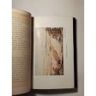 Max Eyth: Im Strom unserer Zeit: aus Briefen eines Ingenieurs 1. - Lehrjahre (gótbetűs)