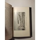 Max Eyth: Im Strom unserer Zeit: aus Briefen eines Ingenieurs 1. - Lehrjahre (gótbetűs)