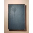 Max Eyth: Im Strom unserer Zeit: aus Briefen eines Ingenieurs 1. - Lehrjahre (gótbetűs)