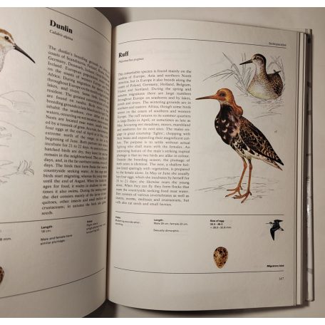 Jiří Felix: The Illustrated Encyclopedia of Birds