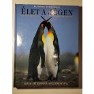 Alastair Fothergill: Élet a jégen