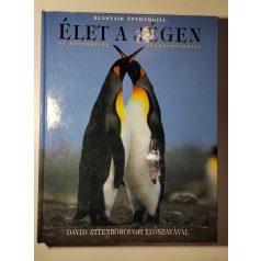 Alastair Fothergill: Élet a jégen